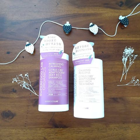 124745004_379792633437320_1656