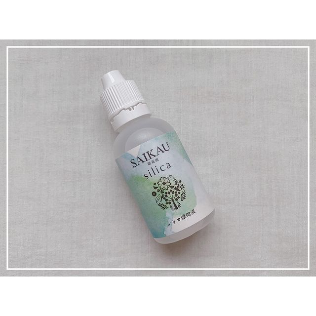 152372864_253971419639089_7505