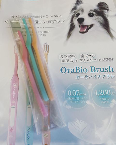 ウィル☆プロフィール確認おねがいします☆犬用3方歯ブラシ 確認用 shuwawa1sam.jpg
