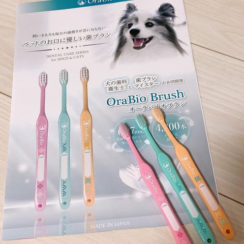 ウィル☆プロフィール確認おねがいします☆犬用3方歯ブラシ 確認用 ウィル☆プロフィール確認おねがいします☆犬用3方歯ブラシ 確認