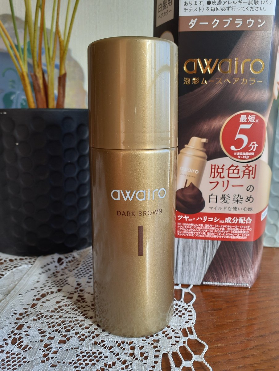 新品] アワイロ ムースヘアカラー ダークブラウン 白髪染め 5箱